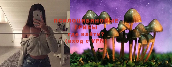 ECSTASY Армянск