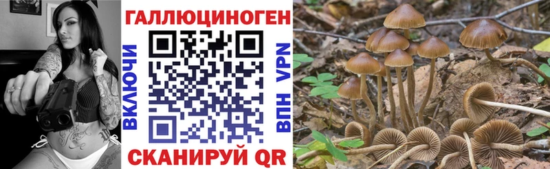 Псилоцибиновые грибы мухоморы  маркетплейс как зайти  Арсеньев 